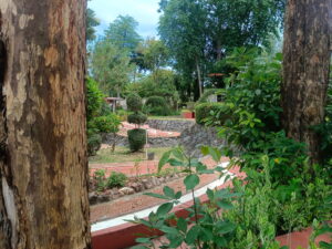 IMG_20260516_121050 (1)