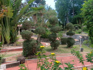 IMG_20260516_121101 (1)