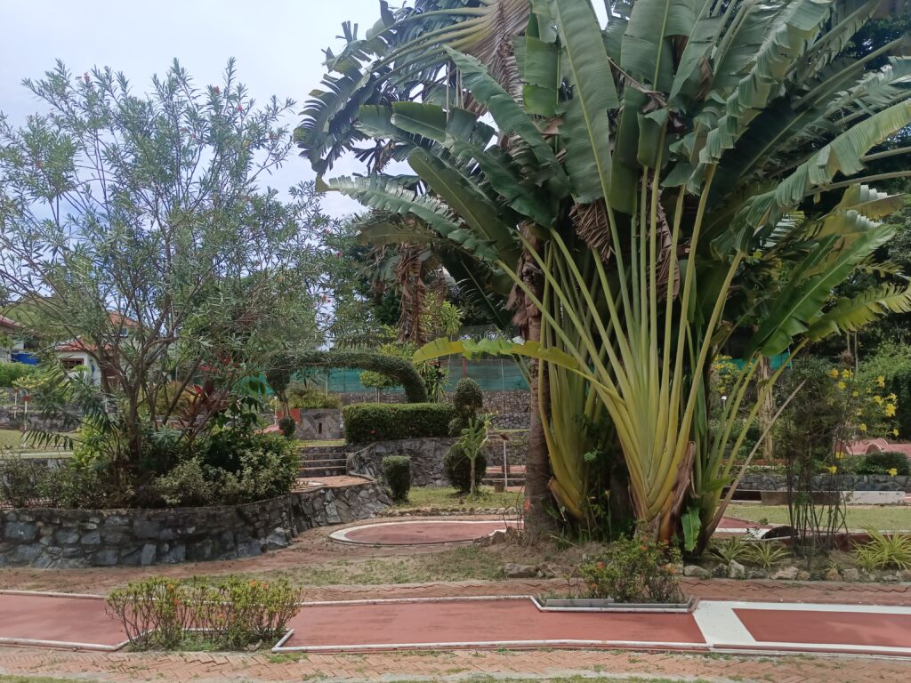 fun and relaxing jungle mini golf atmosphere koh samui